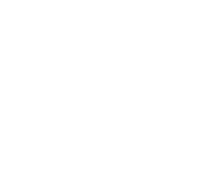 walpo bijeli-01